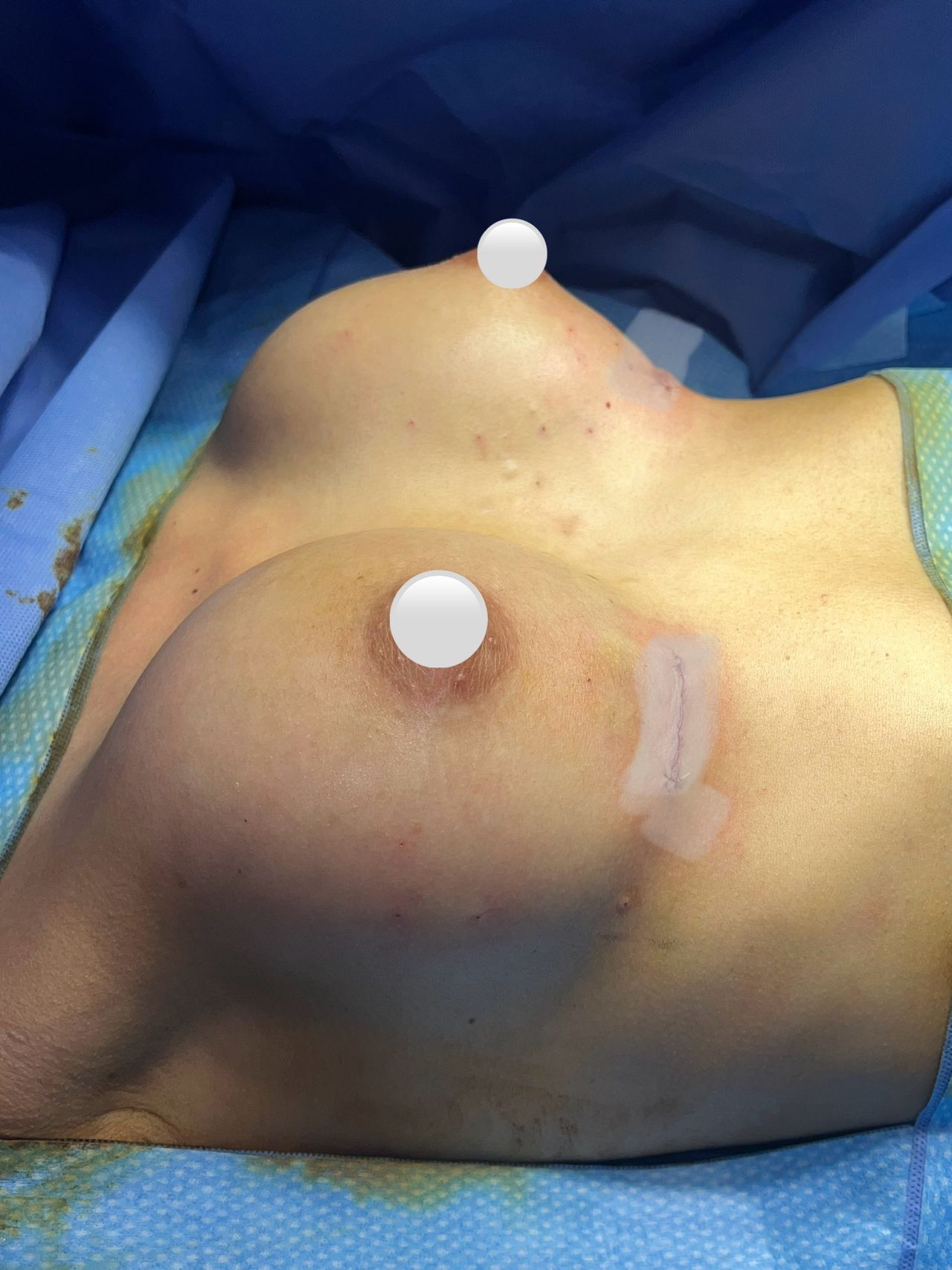 Guillermo Jiménez Labora Irineo-18