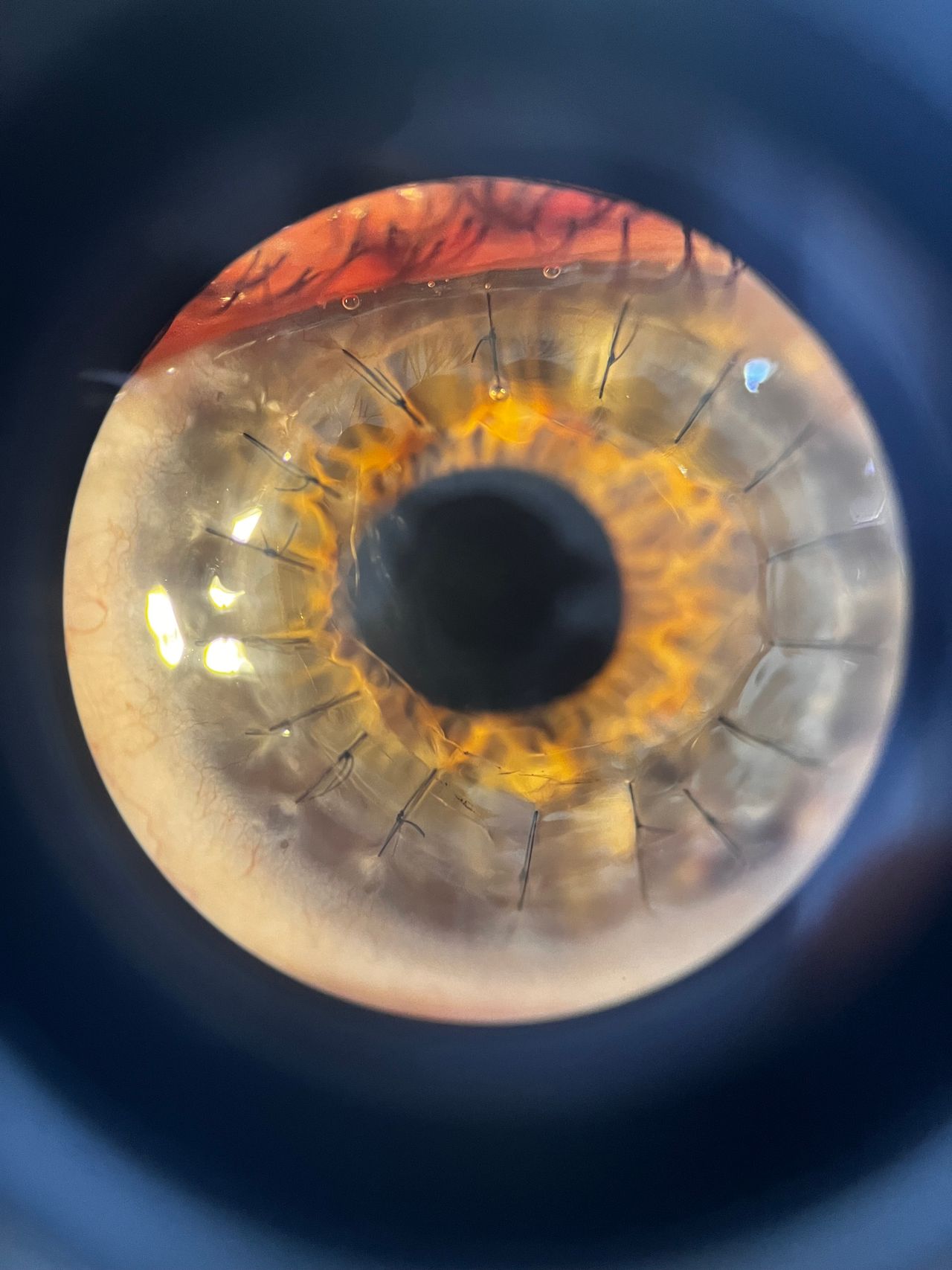 Carolina Zepeda Oropeza-6