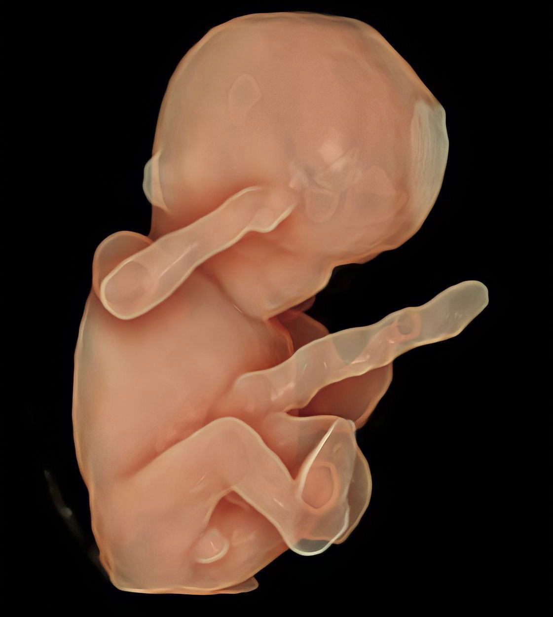 Johnatan Torres Torres-0