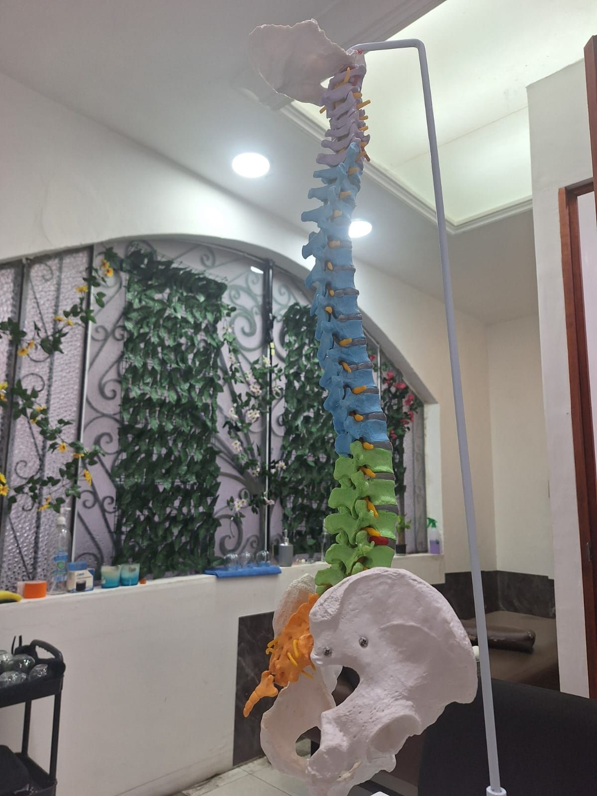 Alexiee García Alpide-5