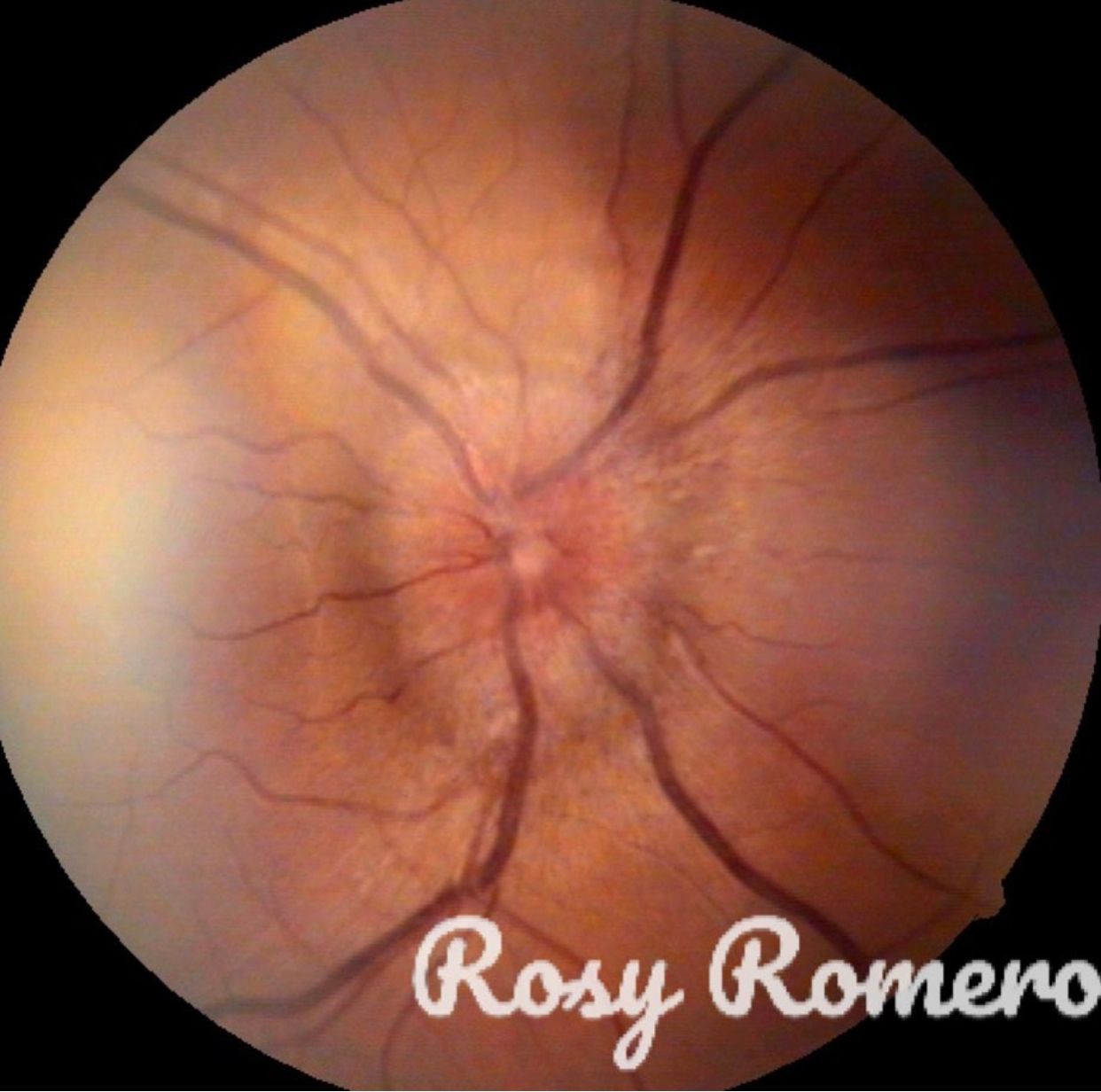 Rosa María Romero Castro-46