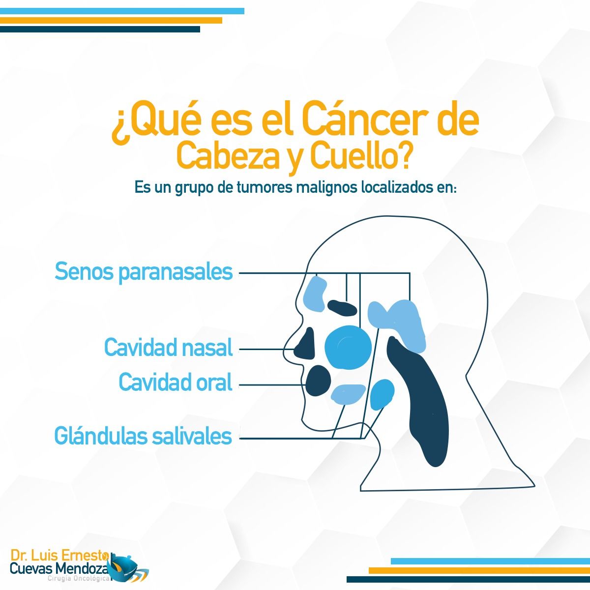 Luis Ernesto Cuevas Mendoza-178