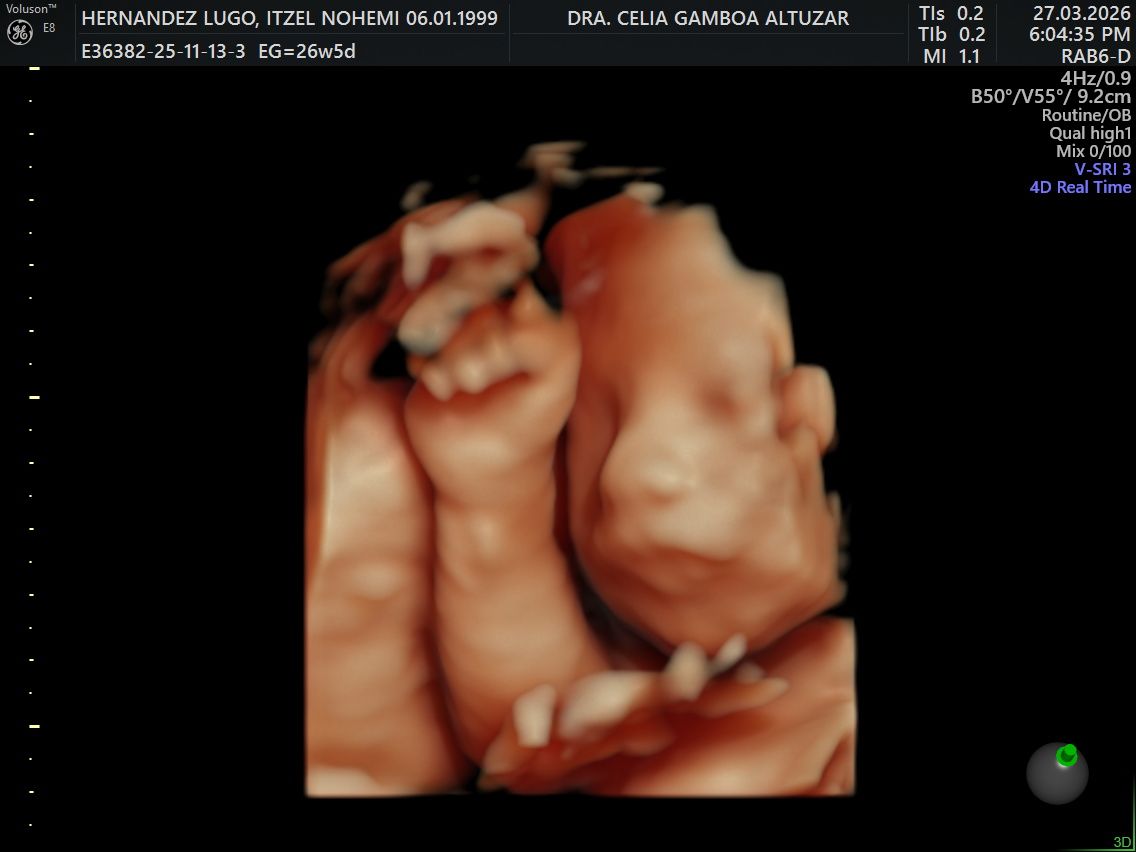 Celia Ivonne Gamboa Altúzar-2