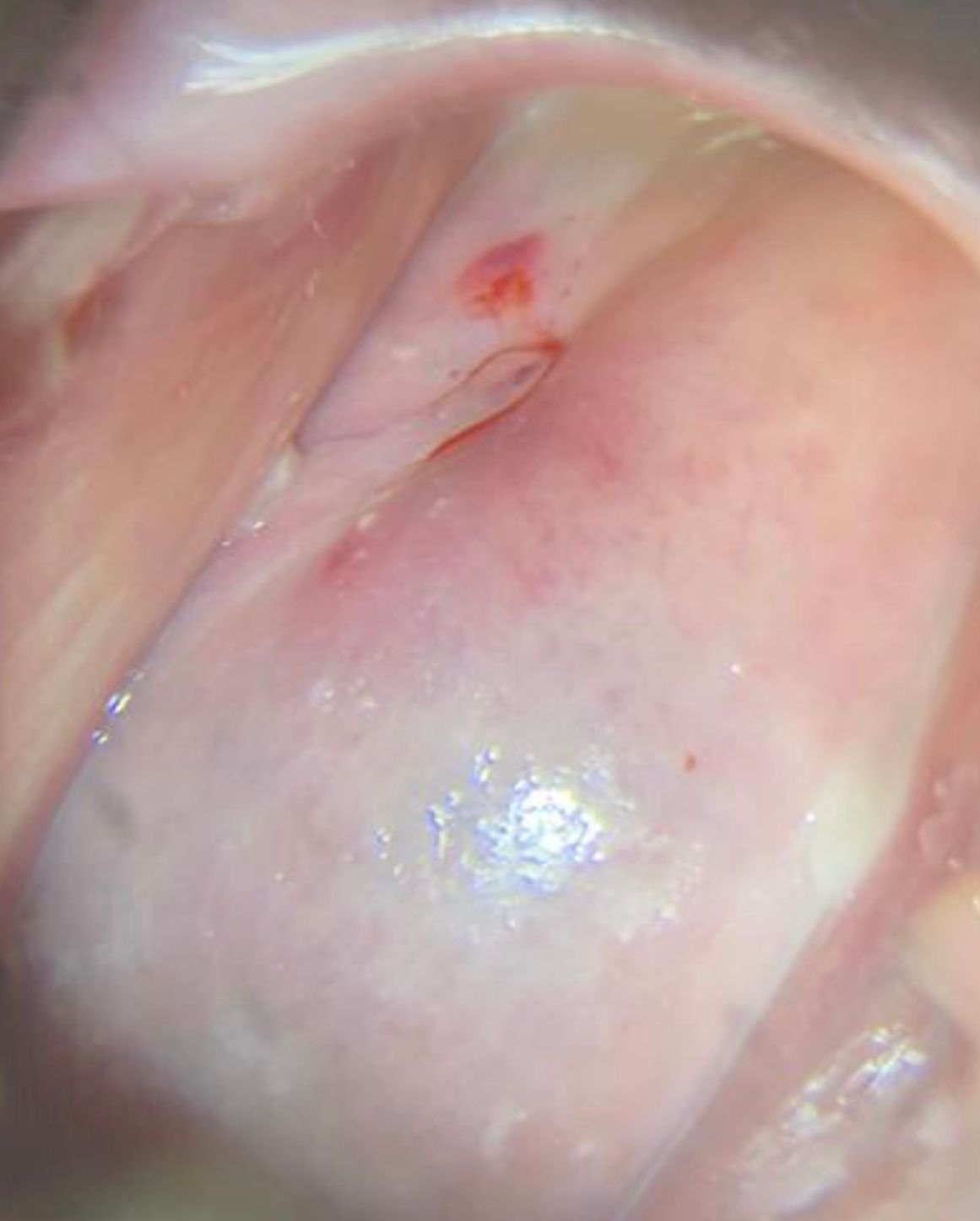 Juan José Solano Perez-5