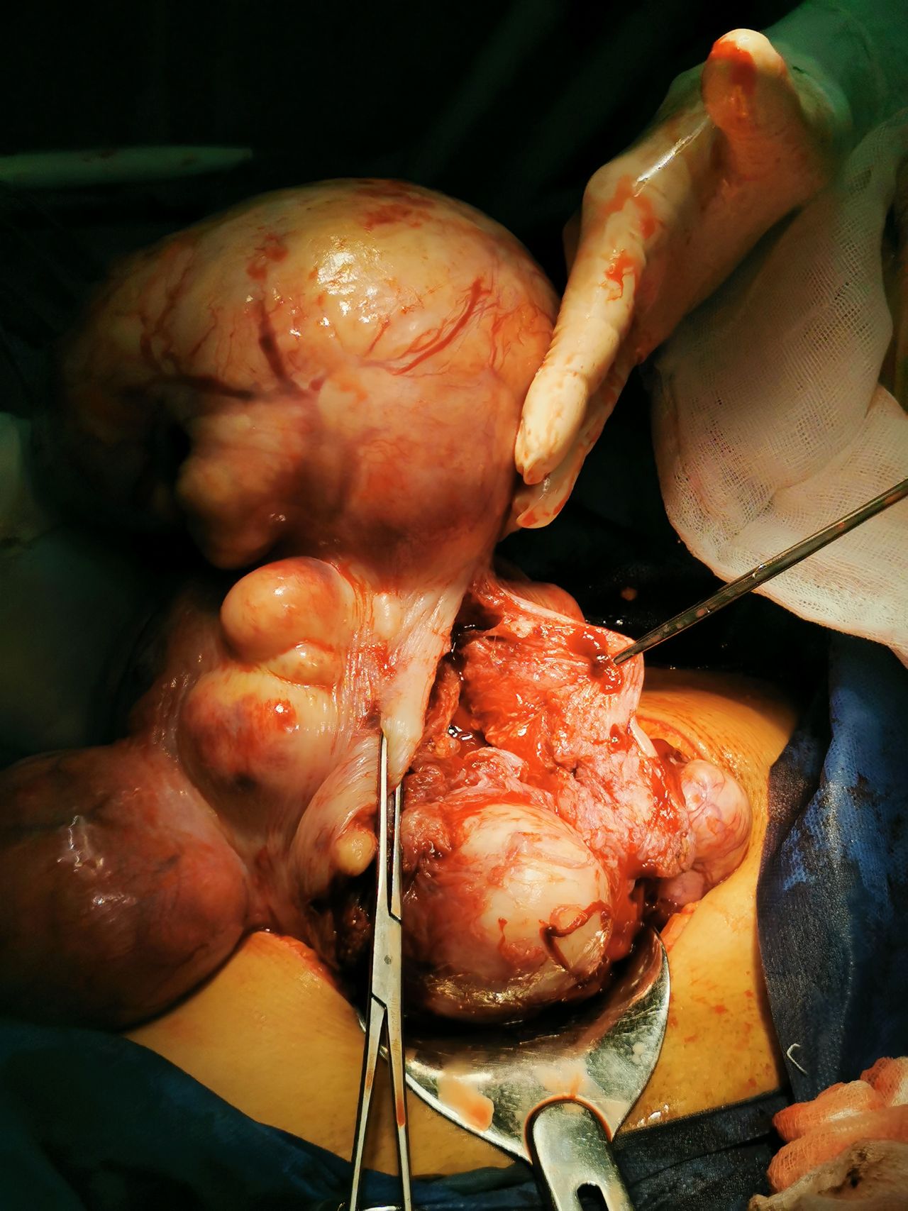 Marisol I. Alvarez Carrasco-11