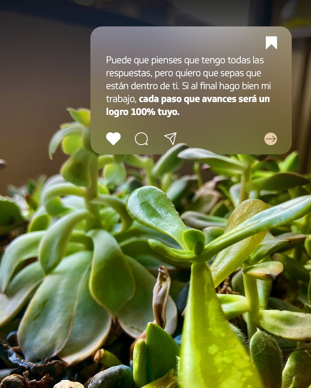 Elvira Nohemí Ponce Ramos-6