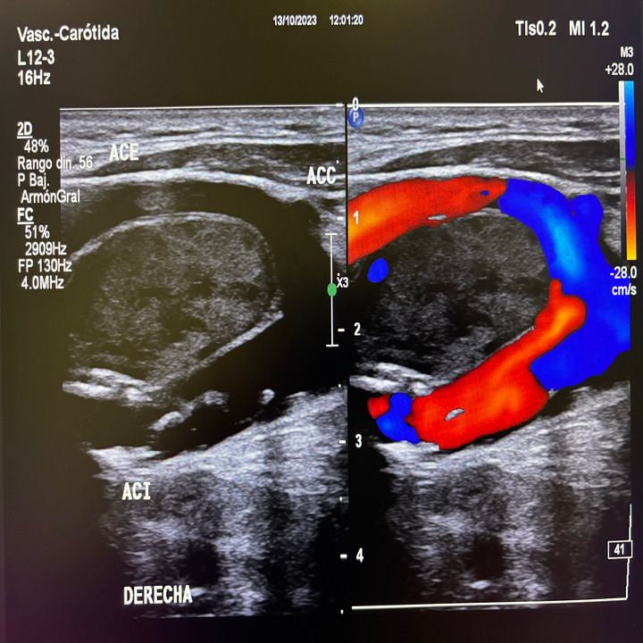 Oscar Alejandro López Ramos-8