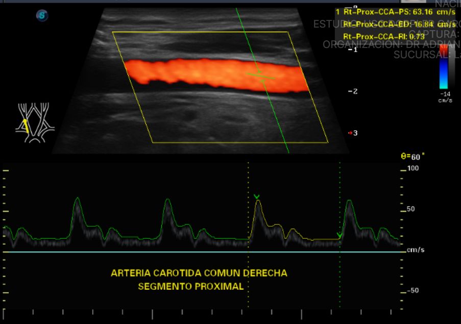 Adrian Estrada Campos-17