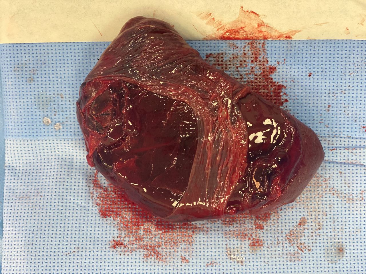 Mariann Barajas Grijalva-0