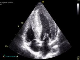 Mayra Patricia Hernández López-3