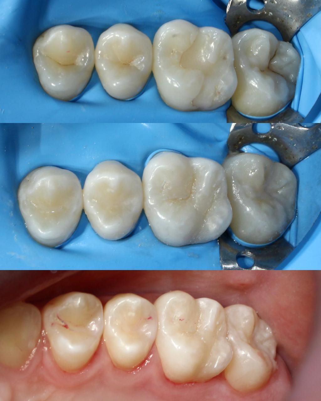 Evelin Salazar Guerrero-3