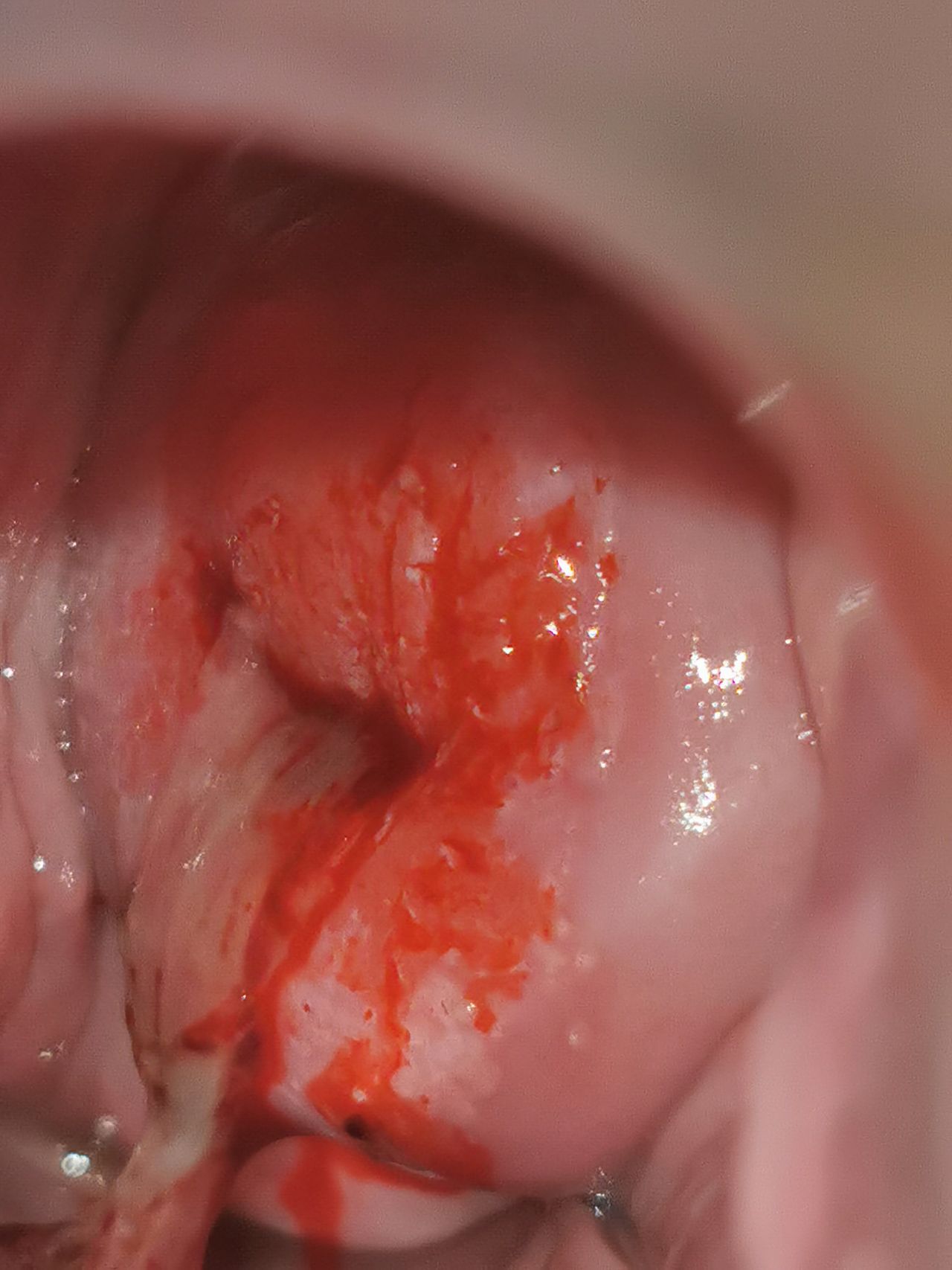 Marisol I. Alvarez Carrasco-30