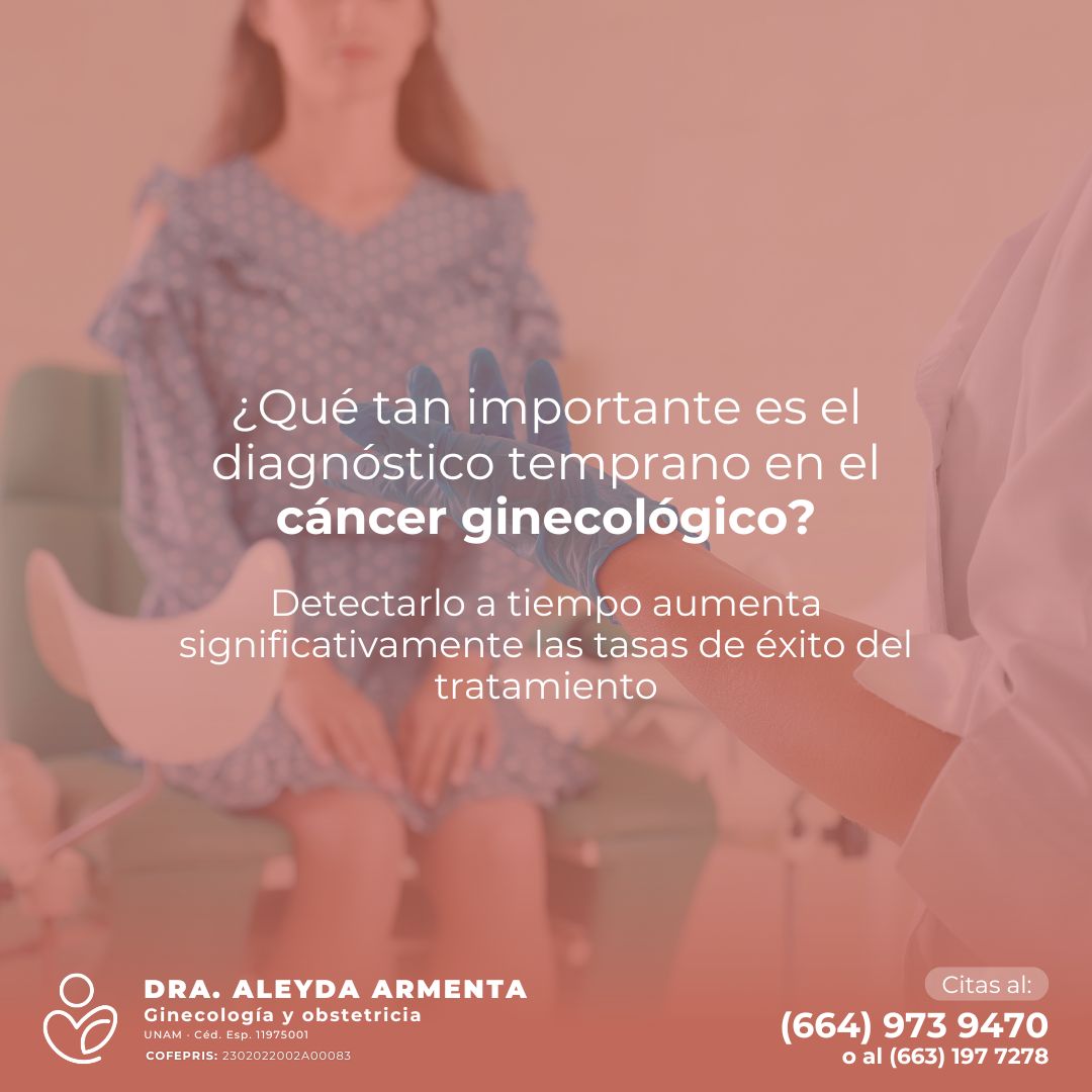 Aleyda Fernanda Armenta Rios-13