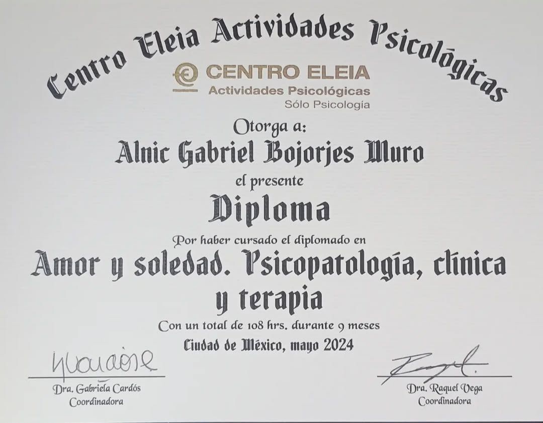 Alnic Gabriel Bojorjes Muro-6