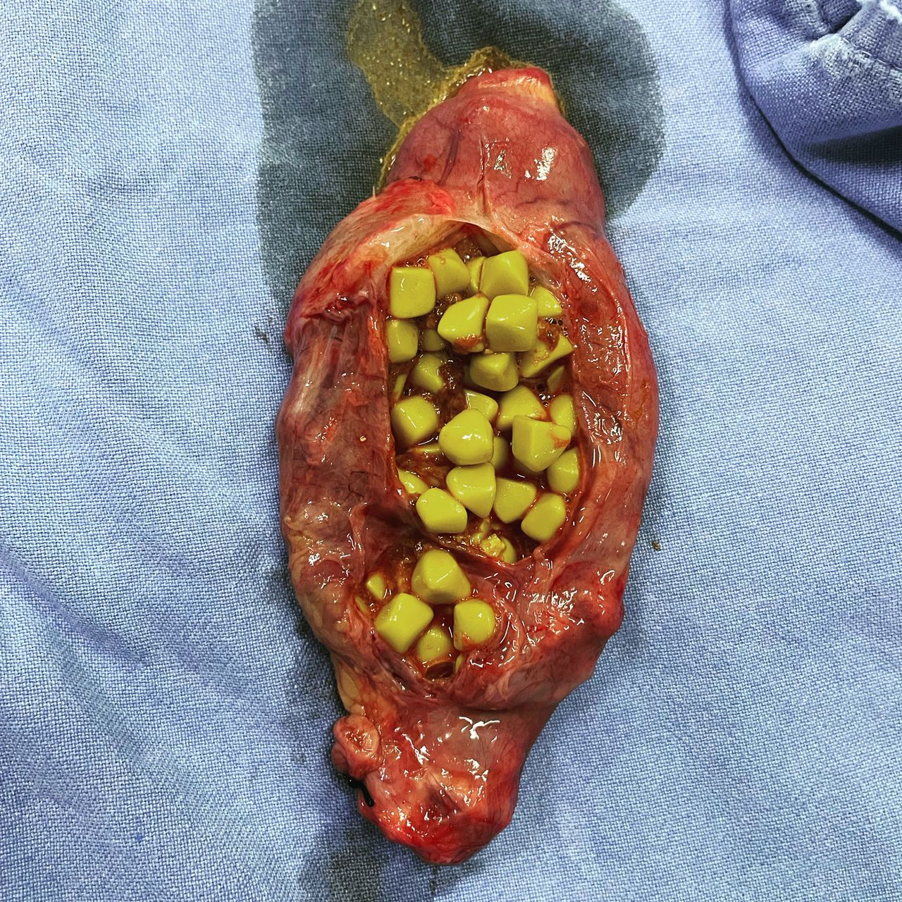 Luis Gabriel González Pérez-6