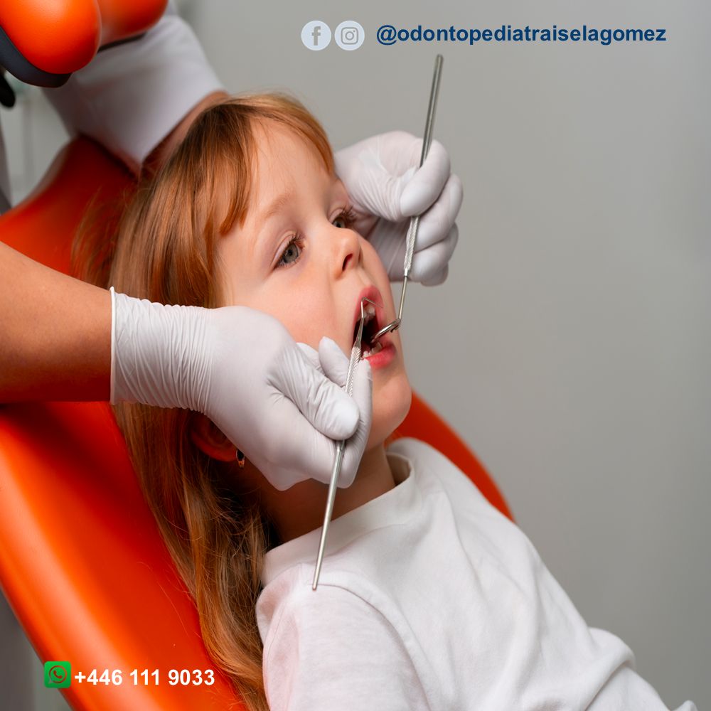 Isela Gómez Zebadúa-4