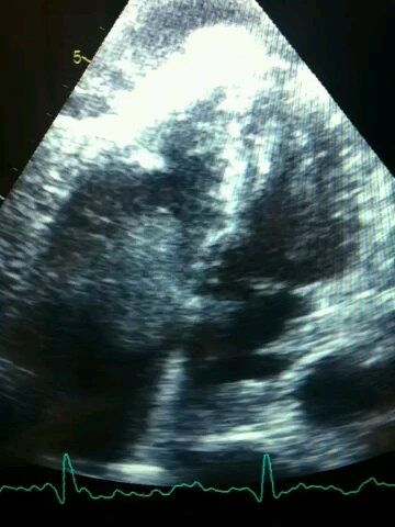 Luis Alfonso Sosa Nava-1