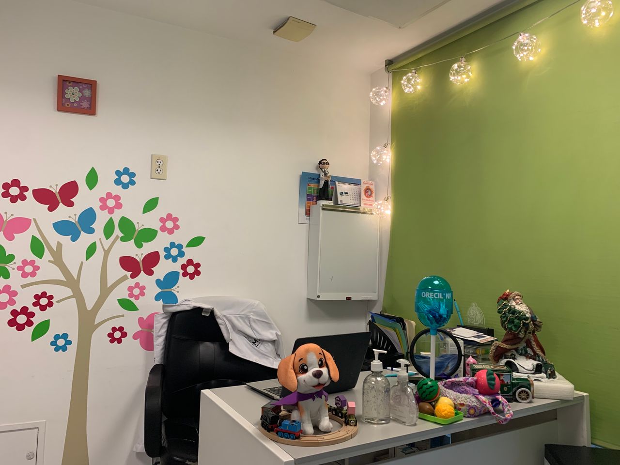 José De Jesus Ortega Maldonado-26