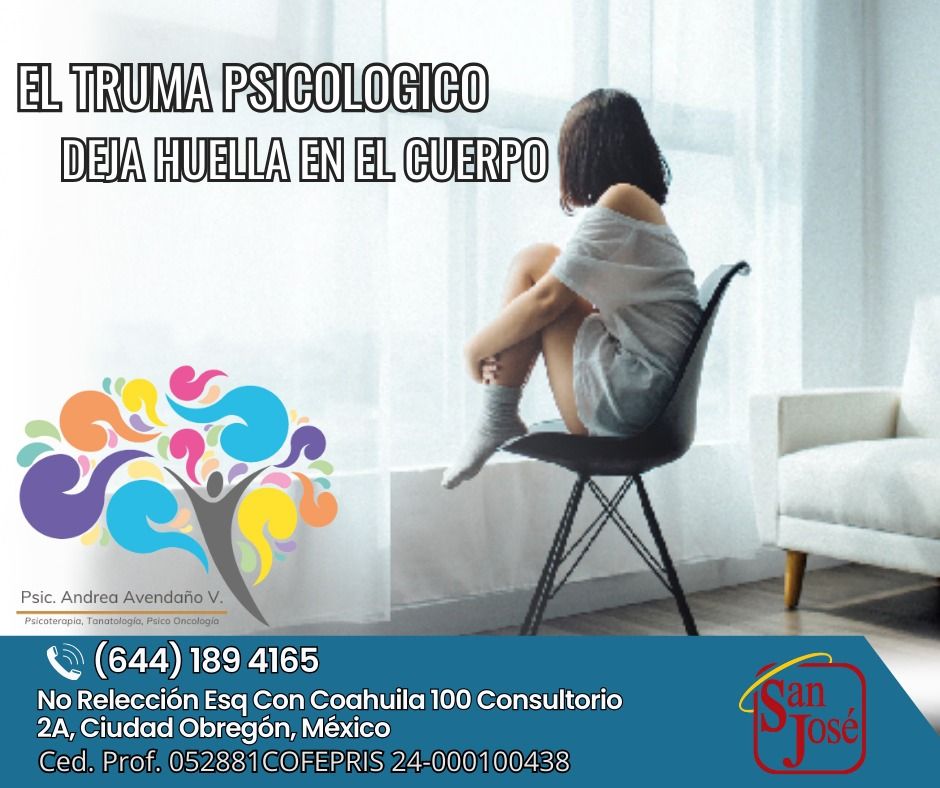 Andrea Alejandra Avendaño Valenzuela-22