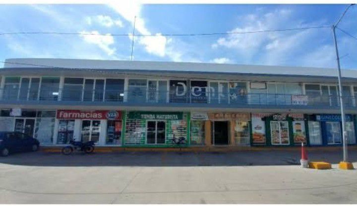 Carlos Alejandro Salazar Serrato-4