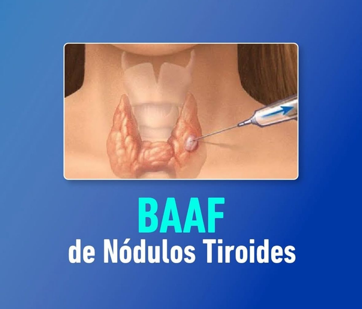 Lucia Zatarain Bayliss-8