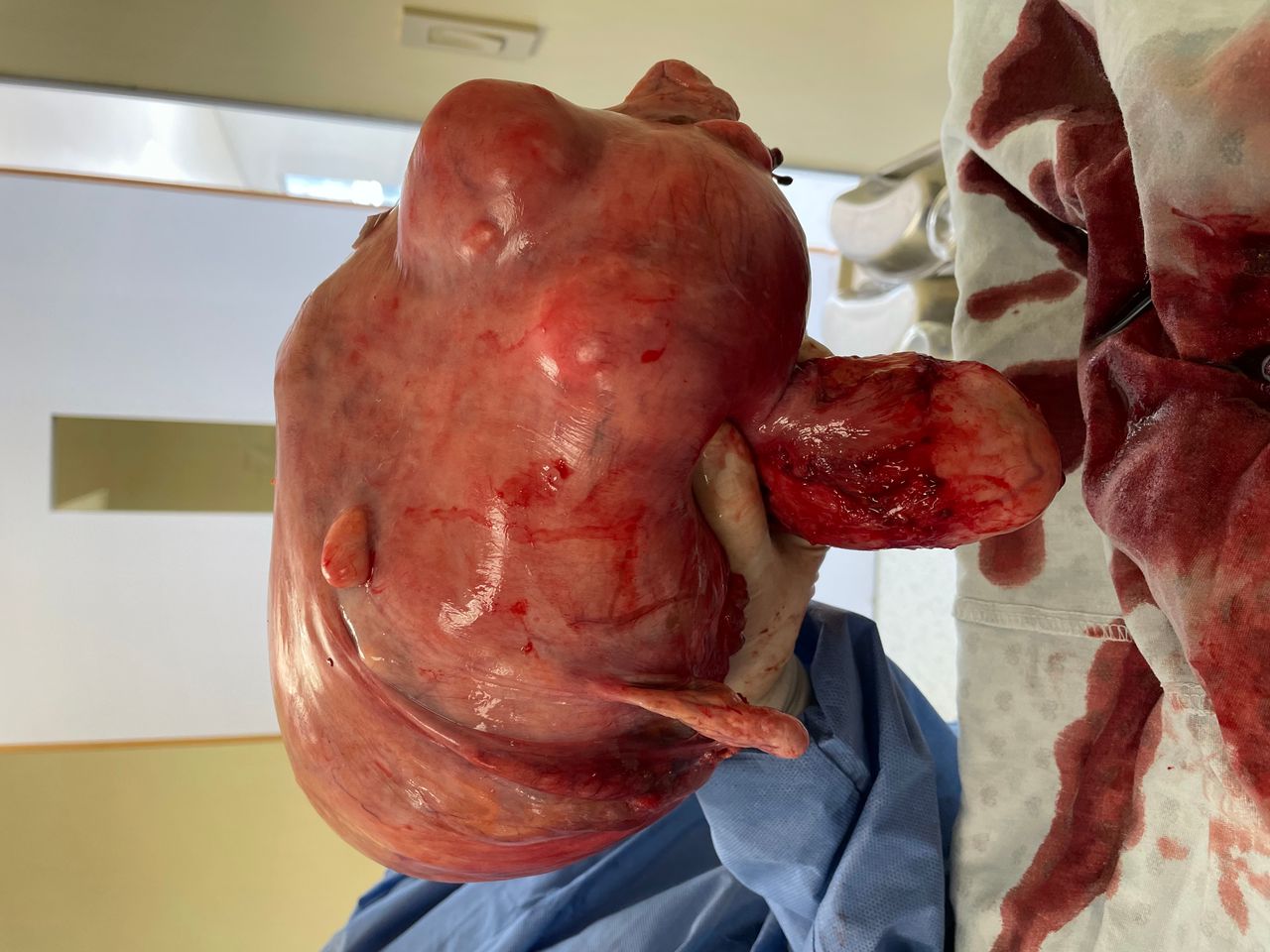 Gonzalo Hernández Martínez-30