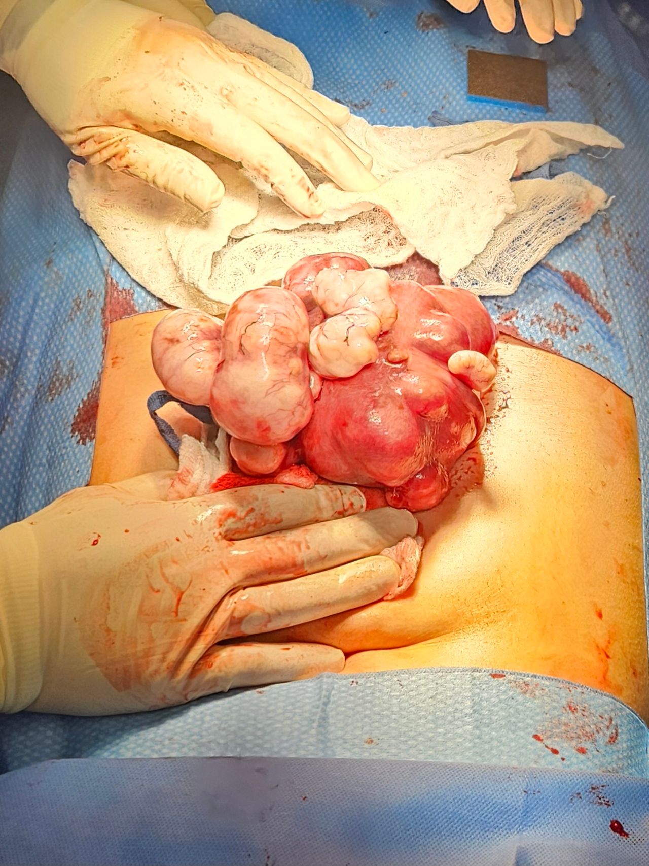 Jorge Alberto Rodriguez Pezino-2