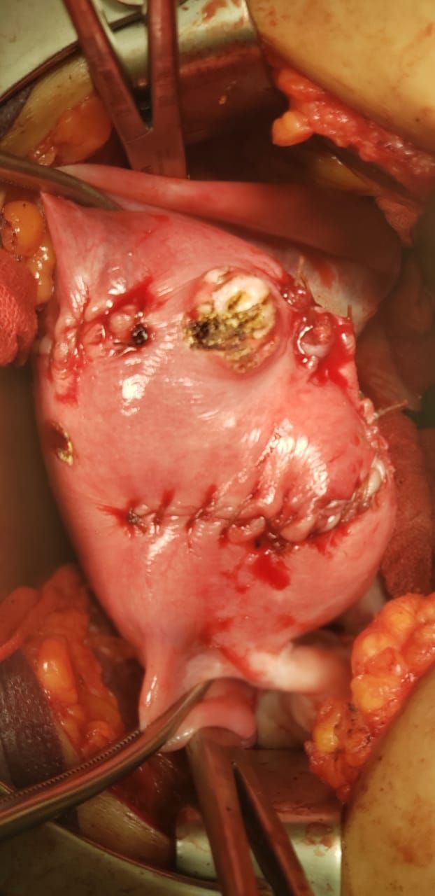 Nayeli Martínez Jaime-11