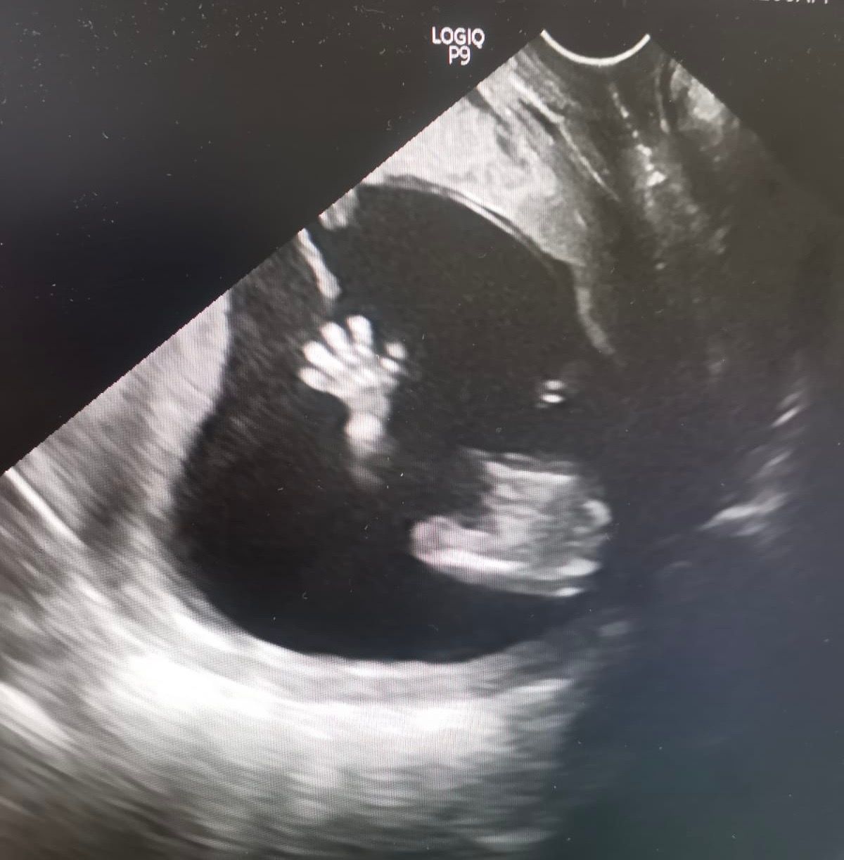 Gabriela Anaya Galindo-2