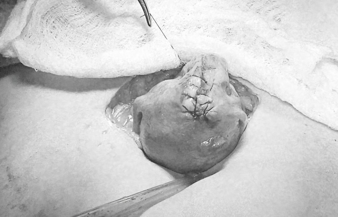 Jorge Alberto Rodriguez Pezino-6