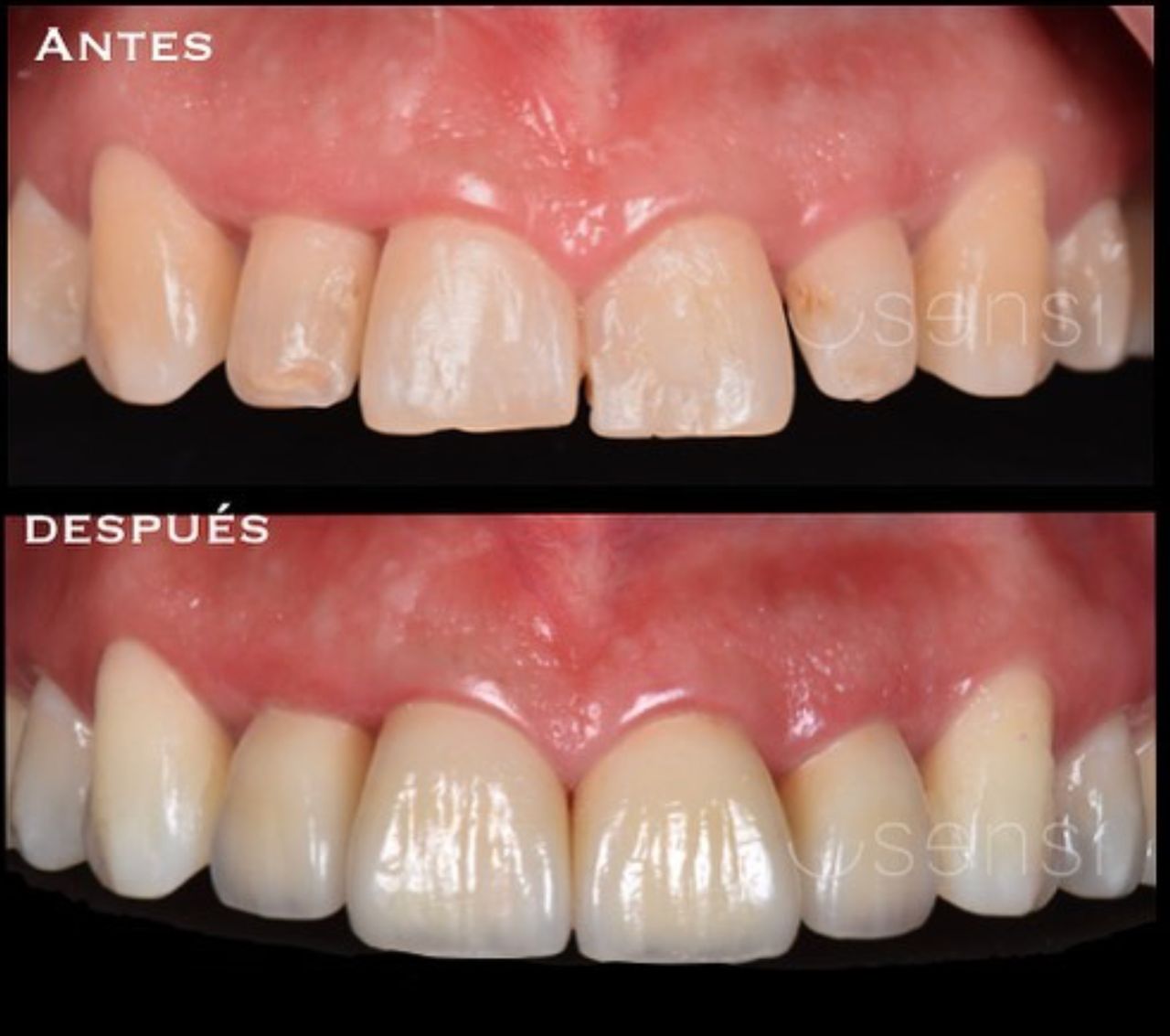 Luis Olvera Hernández-6