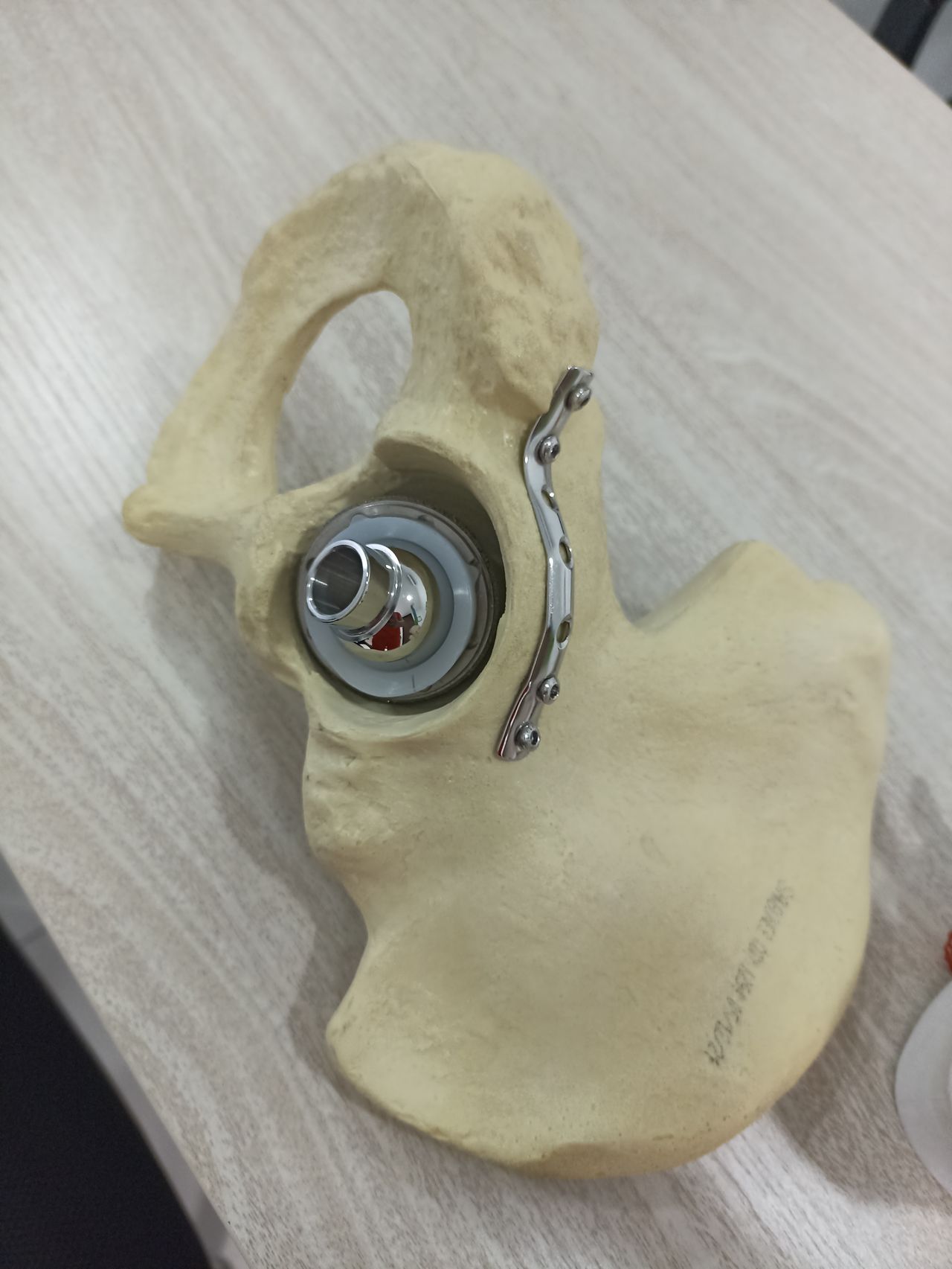 Francisco Prado Mercado-11