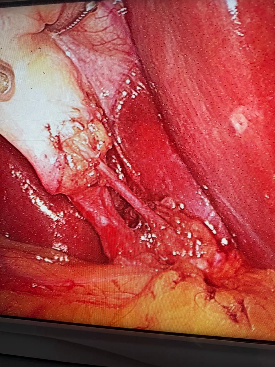 Horacio Paniagua Hernández-18