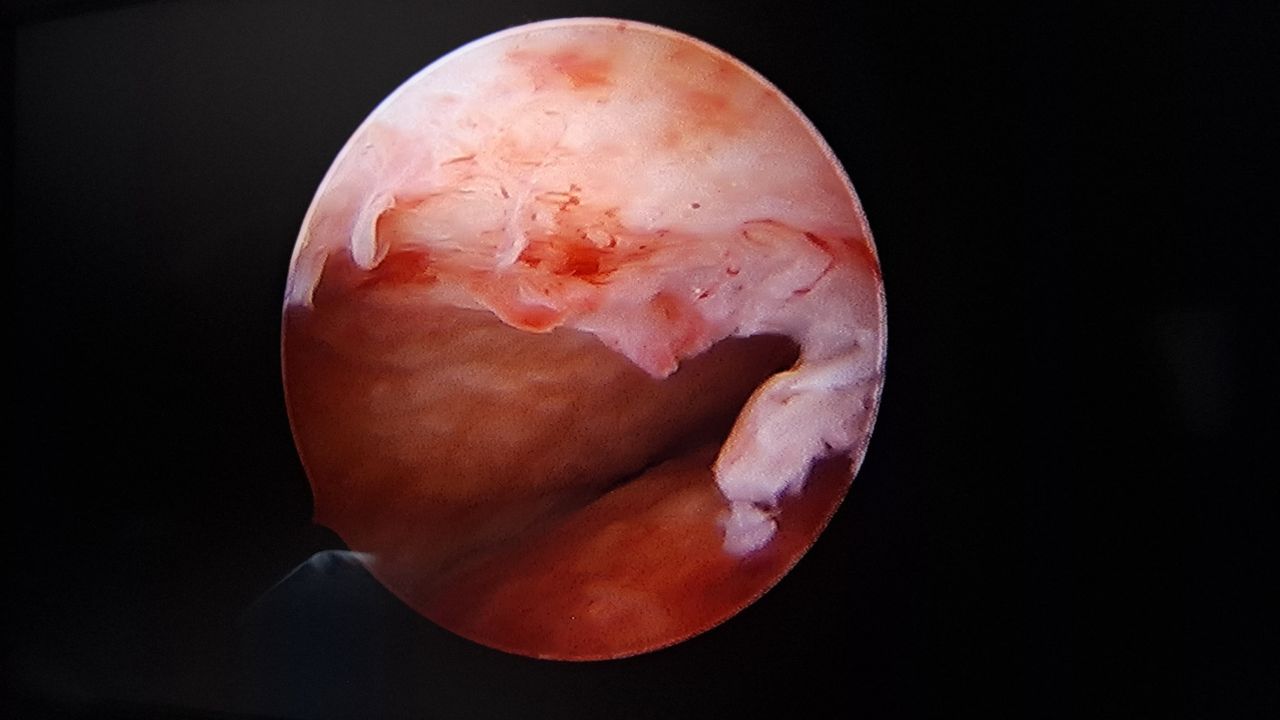 Claudia Angela Navarro Mendez-1