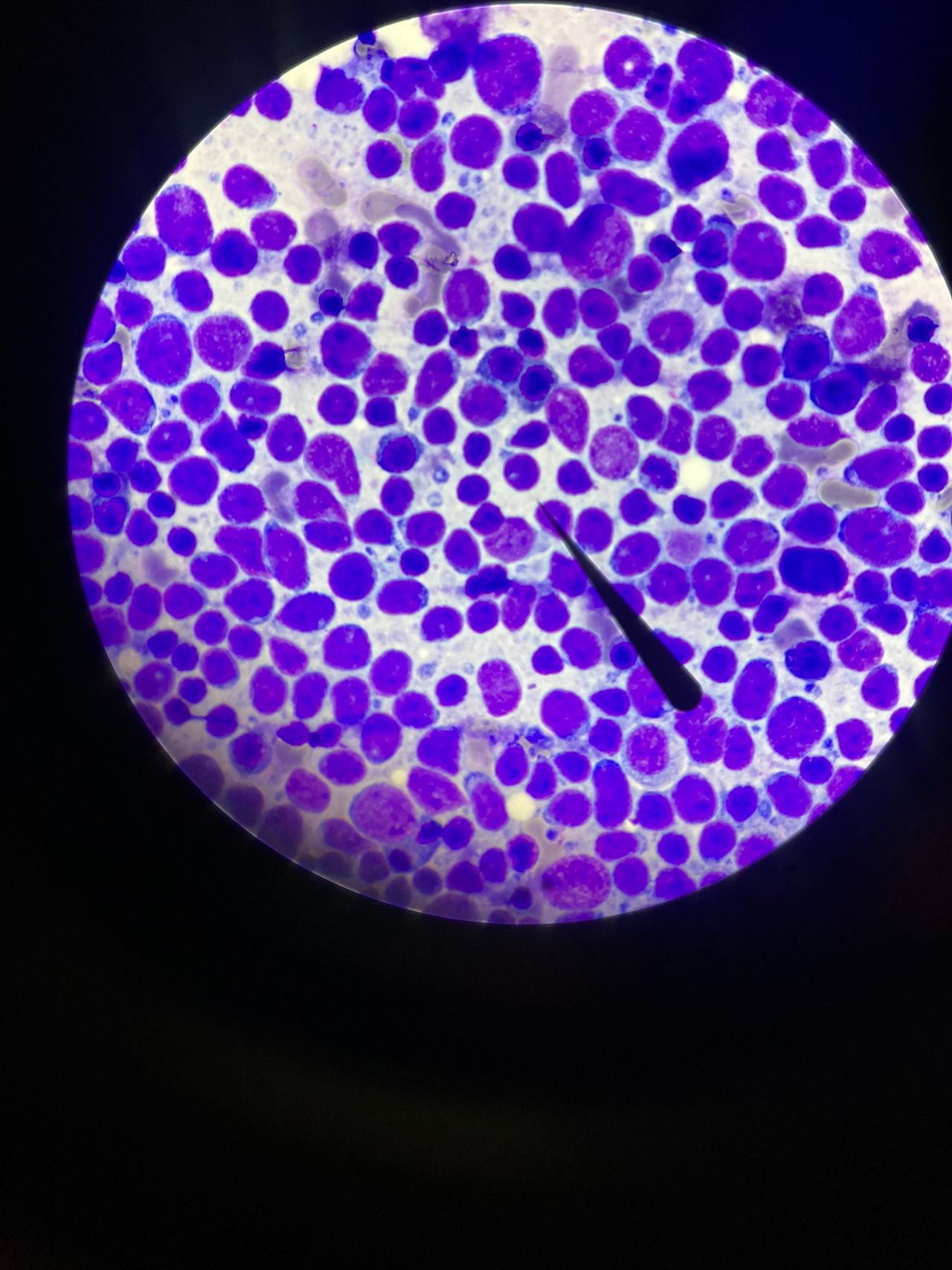 Antonio Yair Venancio Hernandez-3