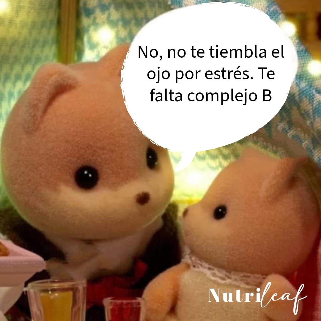 Diana Lorena Sillas Torres-1