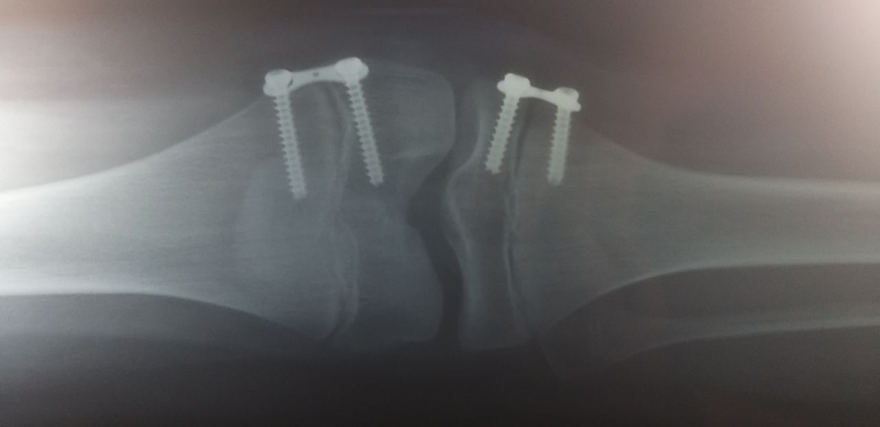 Jorge Armando Avila López-12