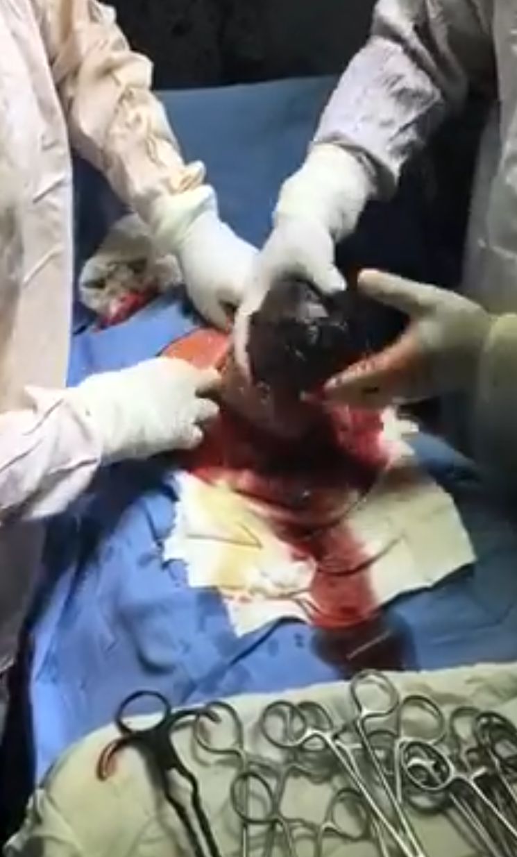 Ma. Del Carmen Hernández Ovando-9