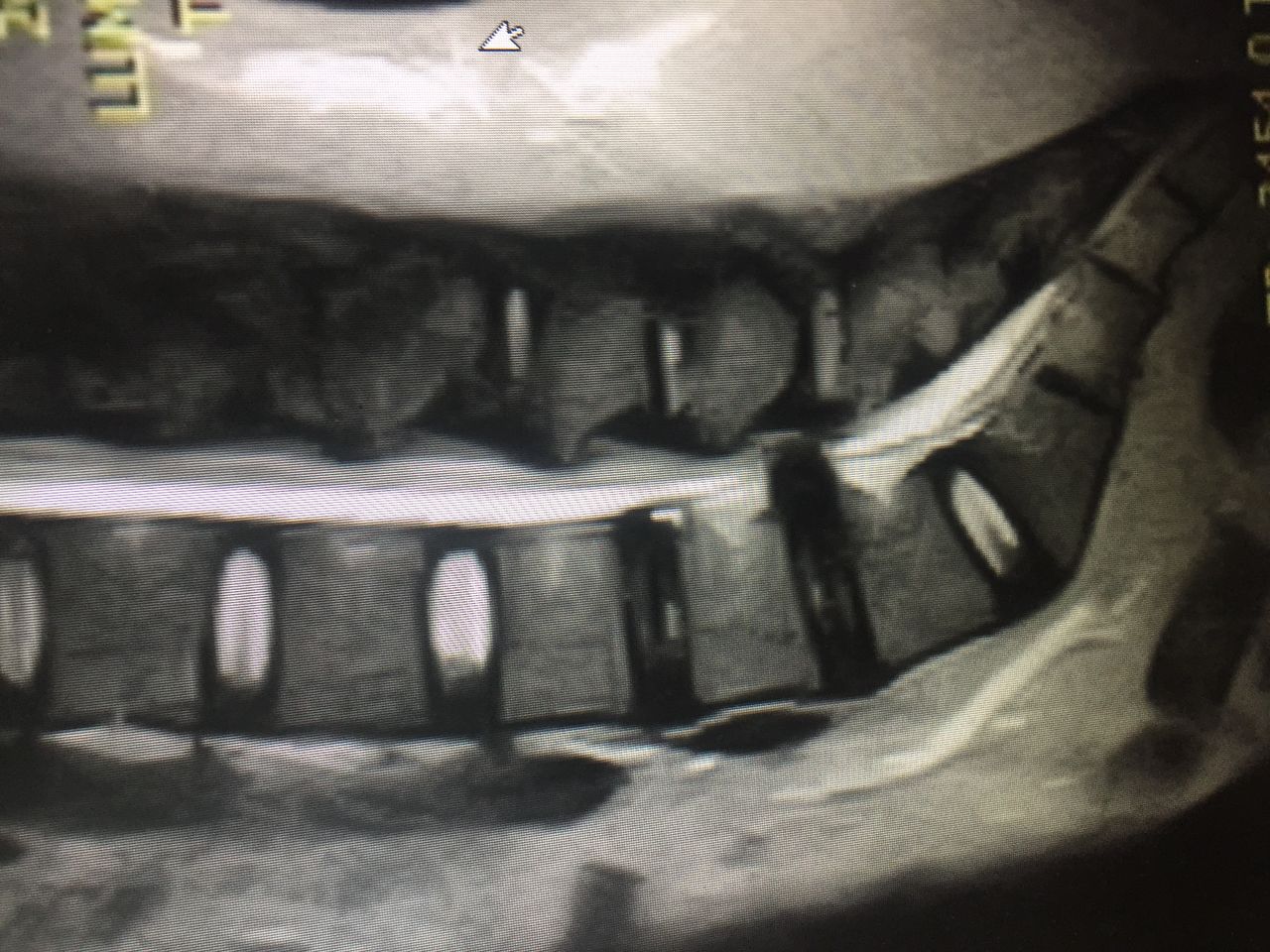 Jorge Ulises Lemus Chavez-2