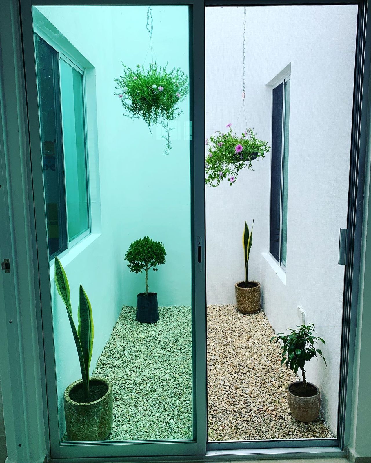 Nidia Estela López Larios-1