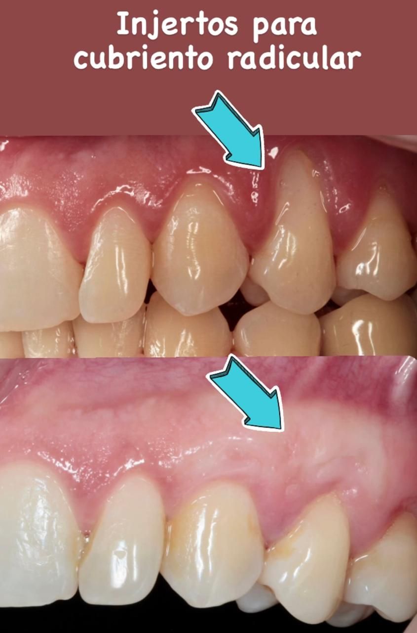 Cindy Hernandez Romero-5