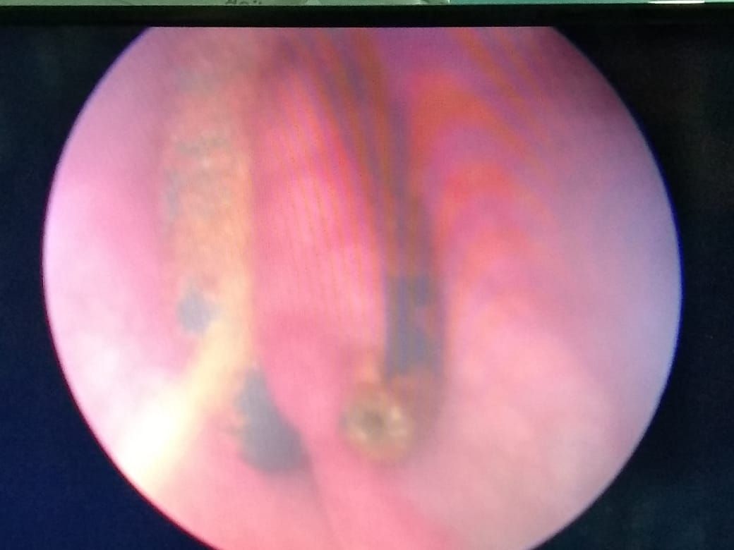 Gerardo Rodrigo Lemus Mena-10