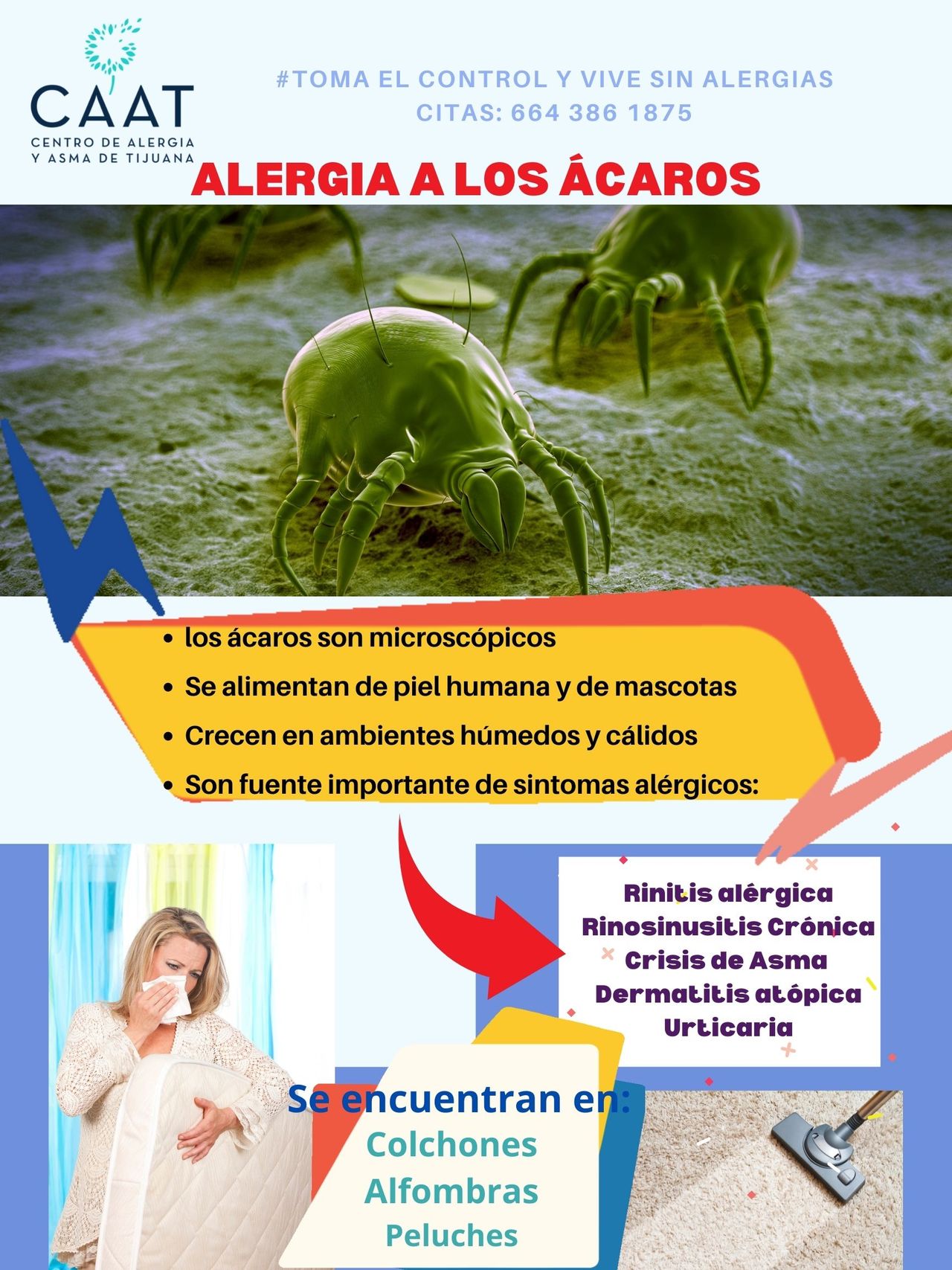 Claudia Ivonne Gallego Corella-6