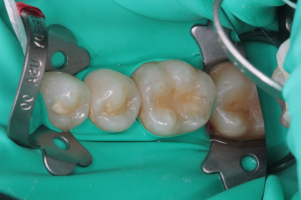 David Alan Escamilla Álvarez-8