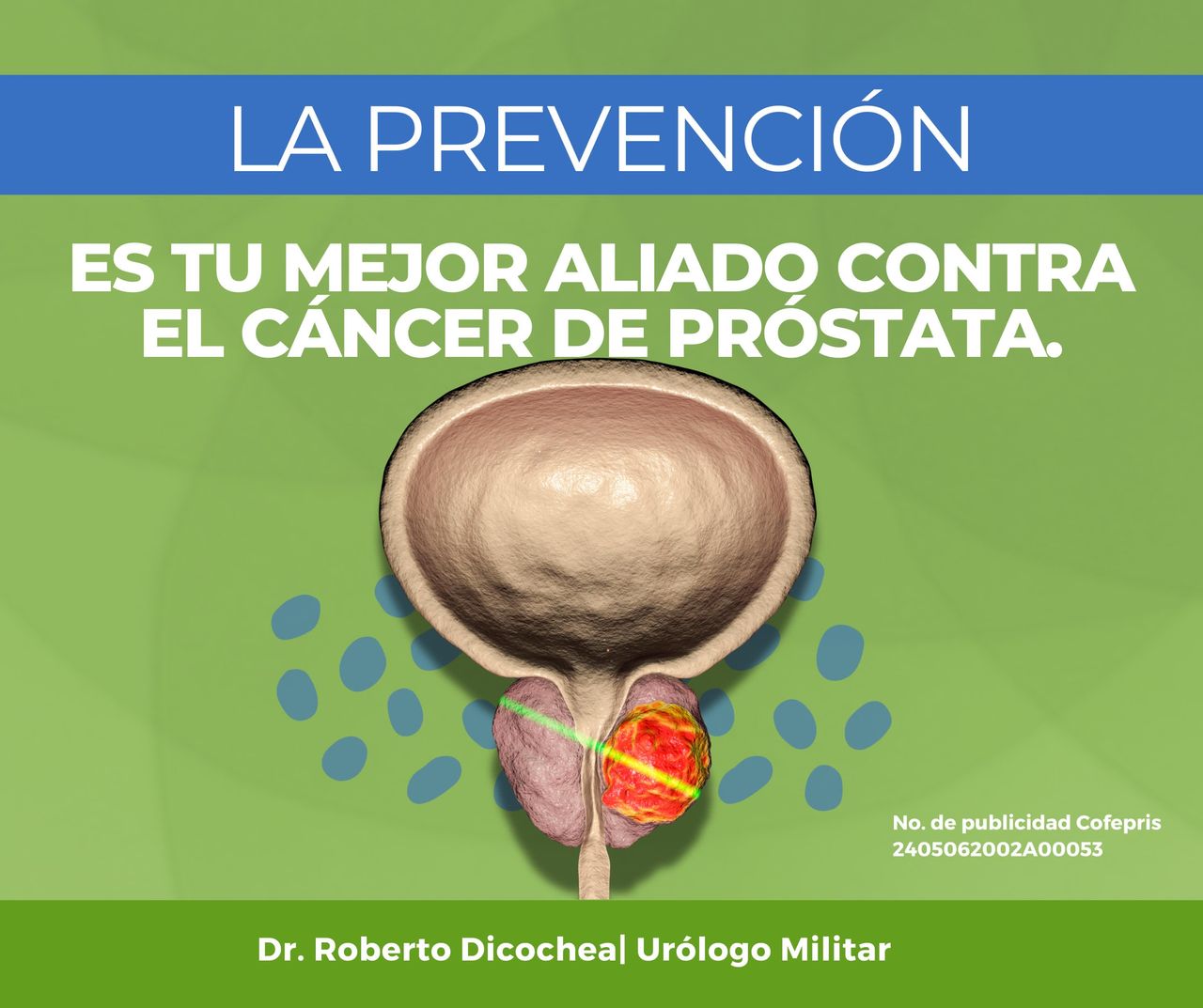 Roberto Dicochea Badilla-27