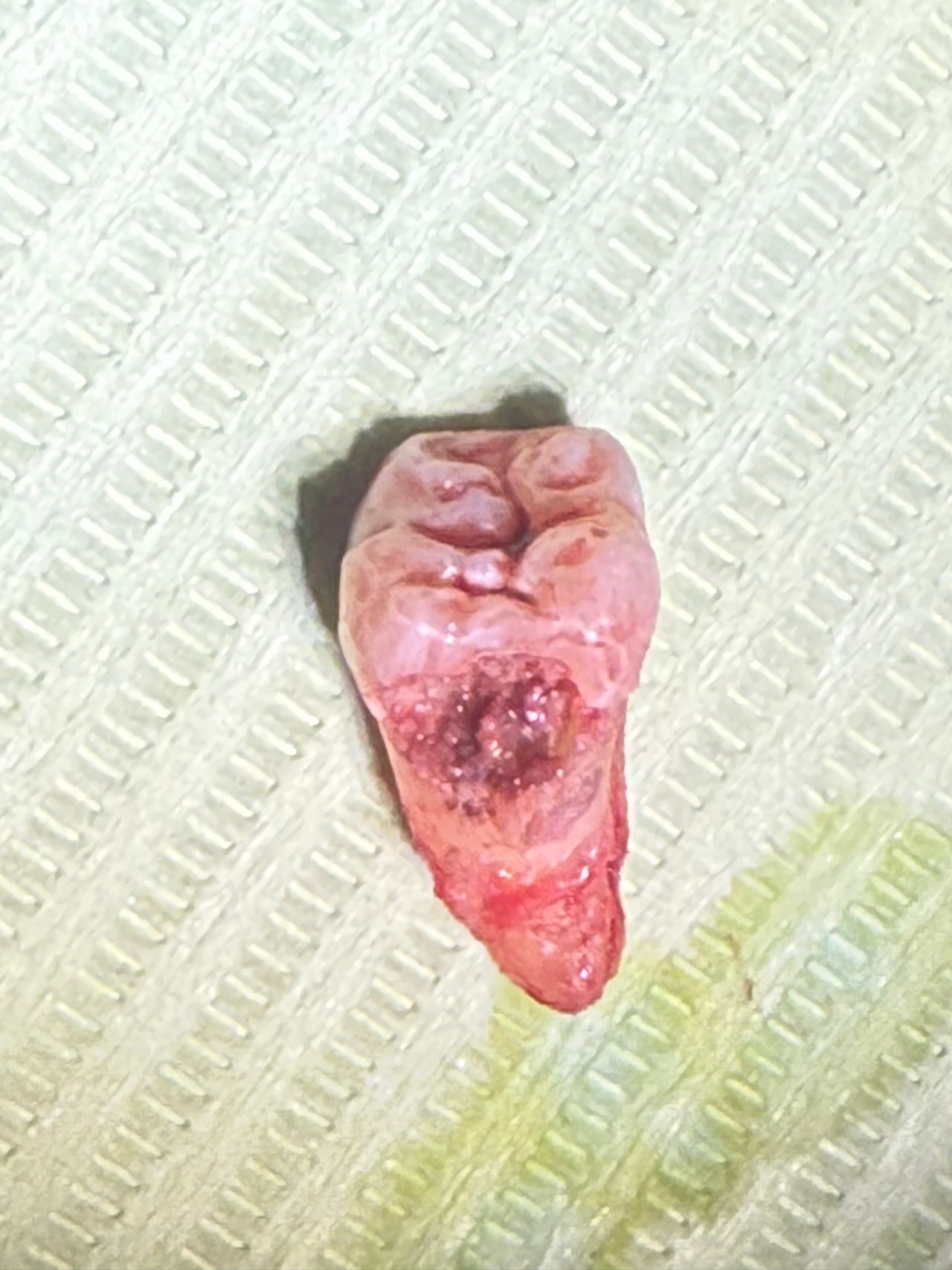 Eduardo López Méndez-35