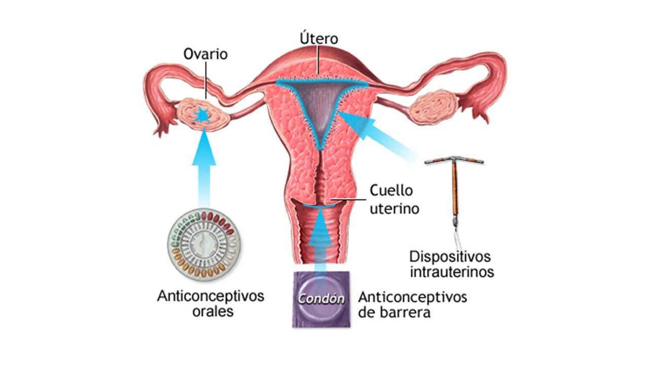 María José Chiriboga Zambrano-1
