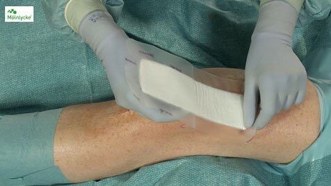 Yolanda Maldonado Miranda-17