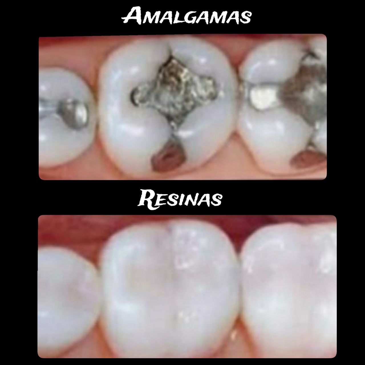 Maria De La Luz Uribe Pozos-3