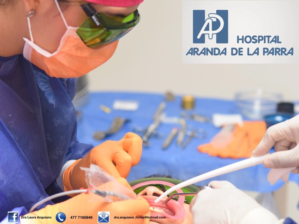 Laura Anguiano Flores-6